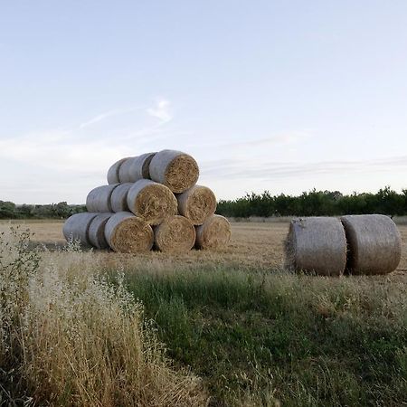 Вілла Agrimat Salento Sas Алеціо Екстер'єр фото